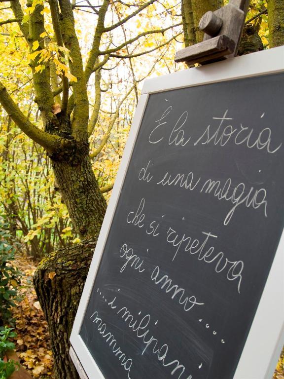 Il Vecchio Milipano Guest House Montepulciano Ngoại thất bức ảnh